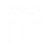 BONUS POHONEMAS33